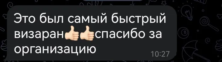 Telegram review screenshot from Me VN, 2025-04-30 — Best Bus visa run / e-visa client feedback