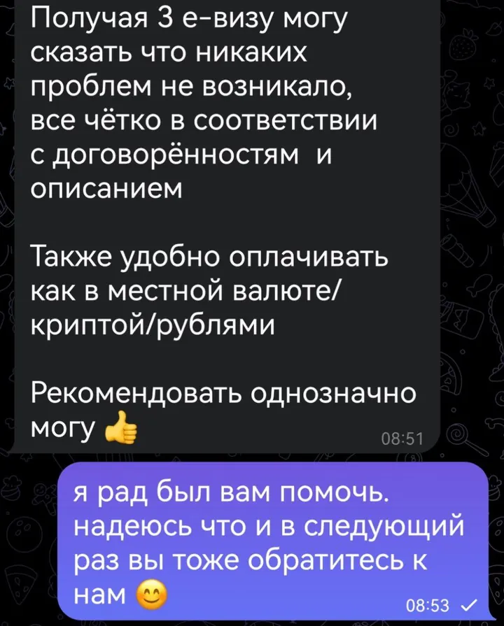 Telegram review screenshot from Me VN, 2025-06-06 — Best Bus visa run / e-visa client feedback