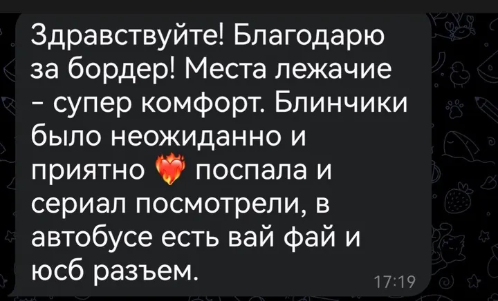 Telegram review screenshot from Me VN, 2025-06-16 — Best Bus visa run / e-visa client feedback