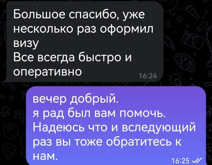 Telegram review screenshot from Me VN, 2025-06-18 — Best Bus visa run / e-visa client feedback