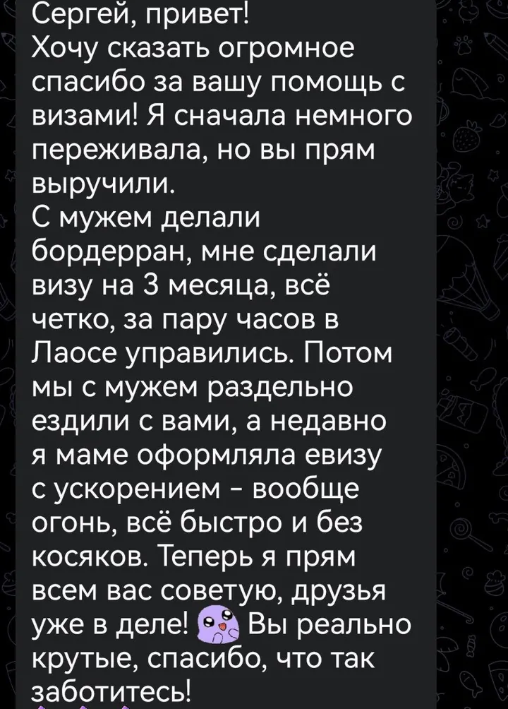 Telegram review screenshot from Me VN, 2025-06-24 — Best Bus visa run / e-visa client feedback