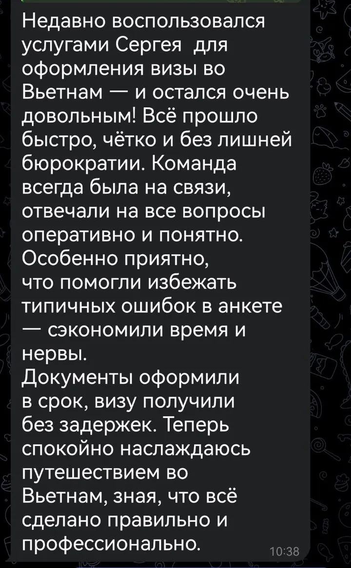 Telegram review screenshot from Me VN, 2025-08-06 — Best Bus visa run / e-visa client feedback
