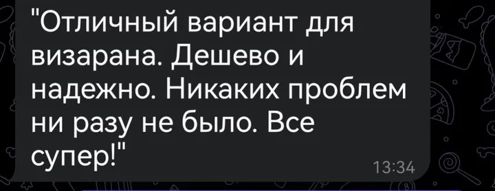 Telegram review screenshot from Me VN, 2025-08-28 — Best Bus visa run / e-visa client feedback