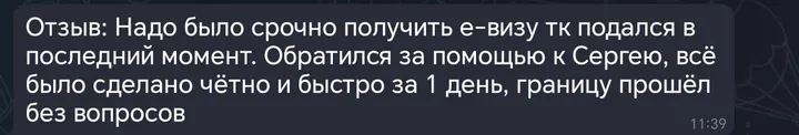 Telegram review screenshot from Me VN, 2025-11-25 — Best Bus visa run / e-visa client feedback