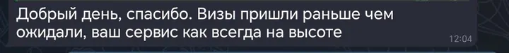 Telegram review screenshot from Me VN, 2025-11-27 — Best Bus visa run / e-visa client feedback