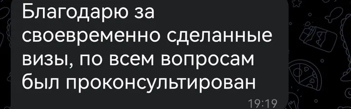 Telegram review screenshot from Me VN, 2025-12-23 — Best Bus visa run / e-visa client feedback
