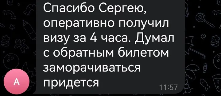 Telegram review screenshot from Me VN, 2026-01-19 — Best Bus visa run / e-visa client feedback