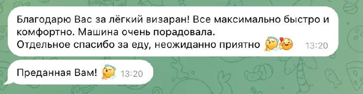 Telegram review screenshot from Me VN, 2026-03-19 — Best Bus visa run / e-visa client feedback